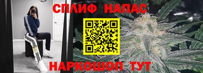 каннабис Новодвинск